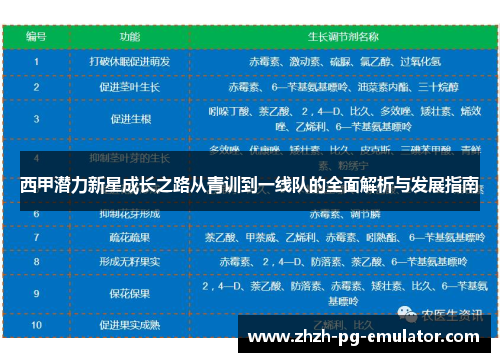 西甲潜力新星成长之路从青训到一线队的全面解析与发展指南 西甲潜力新星成长之路从青训到一线队的全面解析与发展指南