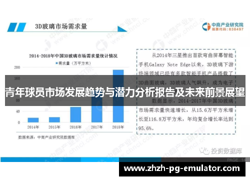 青年球员市场发展趋势与潜力分析报告及未来前景展望